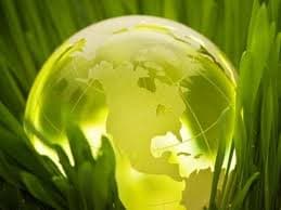 6 pasos para ser empresa verde