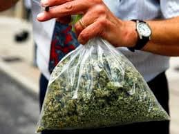 En California la marihuana es legal