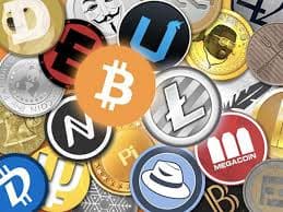 El oro de los tontos