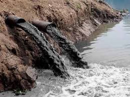 ¿El medio ambiente? Importa poco y nada