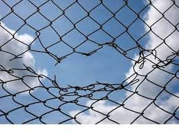 ¿Se hace lo necesario para proteger los datos?