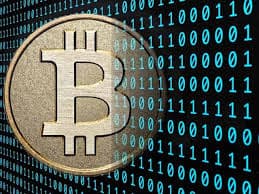 Criptomonedas, un nicho que crece