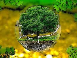 Crece el compromiso  con la sustentabilidad