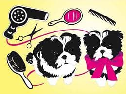 La gran "humanización" de las mascotas