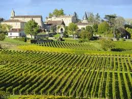 La hectárea en Bordeaux cada vez vale más