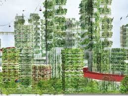 El futuro de la tierra es urbano