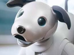 Vuelve Aibo, el perrito robot