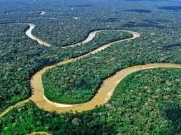 Impacto de la elección presidencial en Brasil