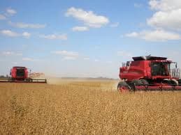Cosecha récord en trigo y cambio de tendencia
