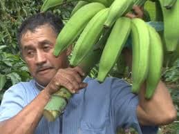 ¿Precios bajos a costa de qué?