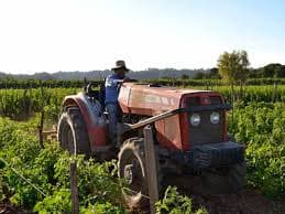 Los dólares productivos vendrán del agro en 2019