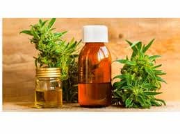 Desfasaje regulatorio en el negocio del cannabis