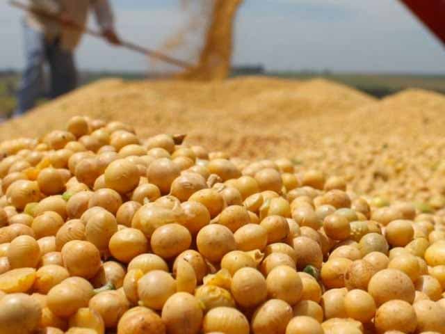 Incidencia externa en la economía argentina