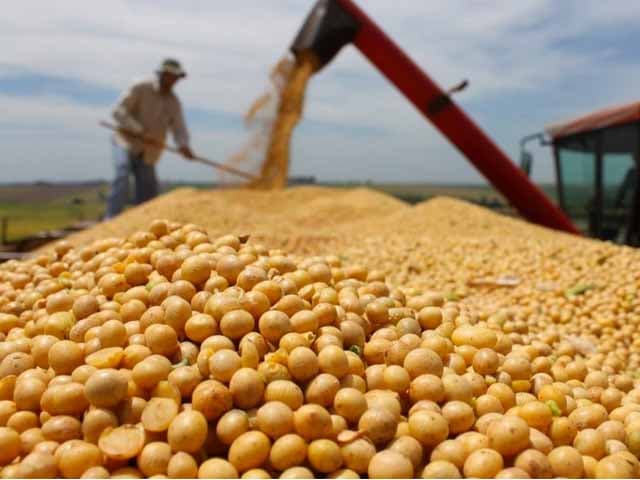 La guerra comercial de Trump la paga el campo