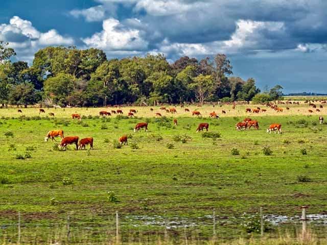 El motor interno pesó más que el externo en el 2018