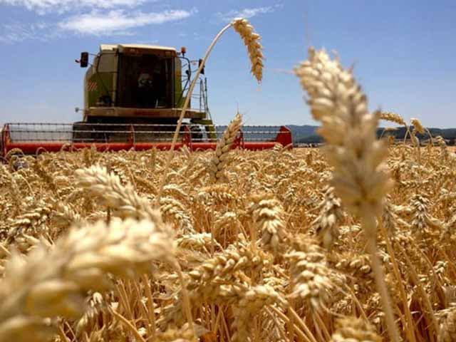 Buenas noticias en el nuevo ciclo agrícola