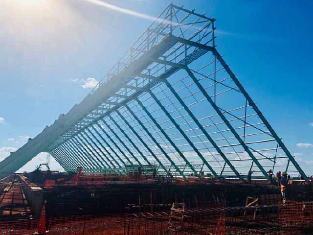 Biomasa forestal: la etapa final de la planta