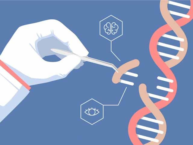 Crispr, una revolucionaria molécula natural