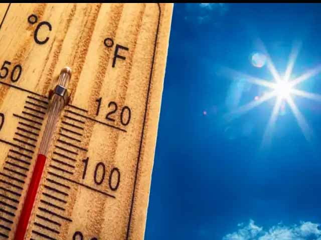 Cinco años de calor