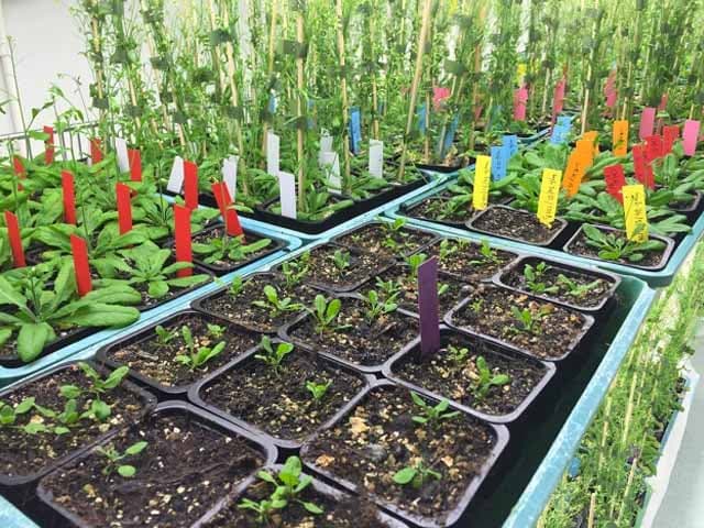 La agri-tecnología necesita licencia social