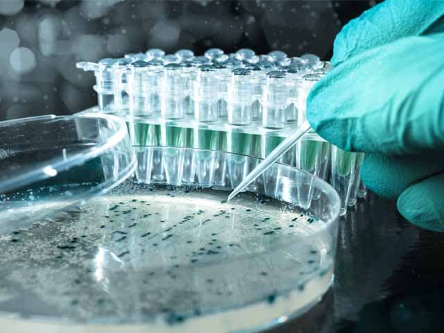 ¿Inventar con Inteligencia Artificial?