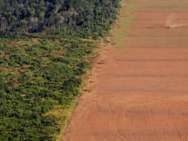 Renovado ataque a la deforestación en Brasil
