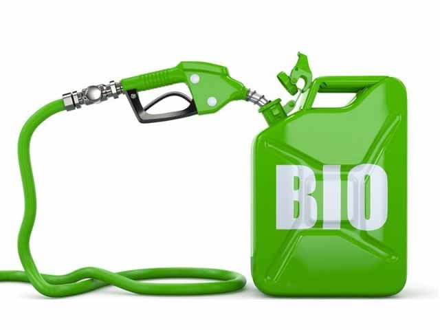Los biocombustibles a la espera de cambios