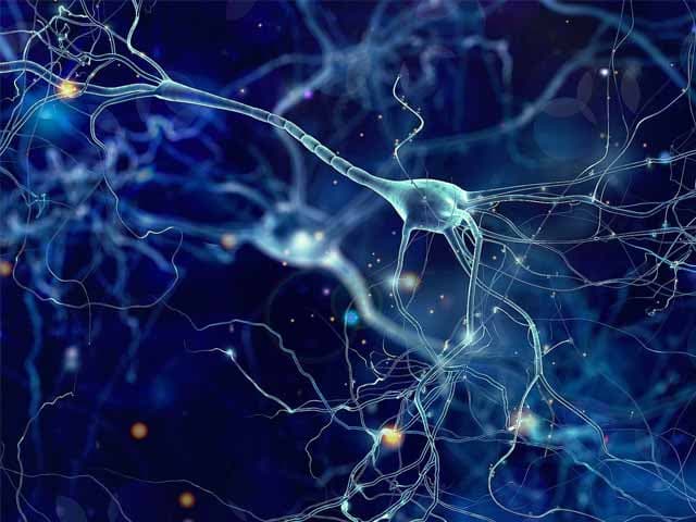 ¿Qué hacen las neuronas mientras dormimos?