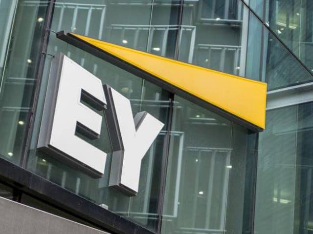 En el 2019, menos ventas, rentabilidad e inversión