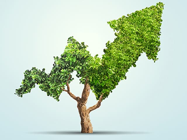 ¿Crecimiento verde? ¿Es eso posible?
