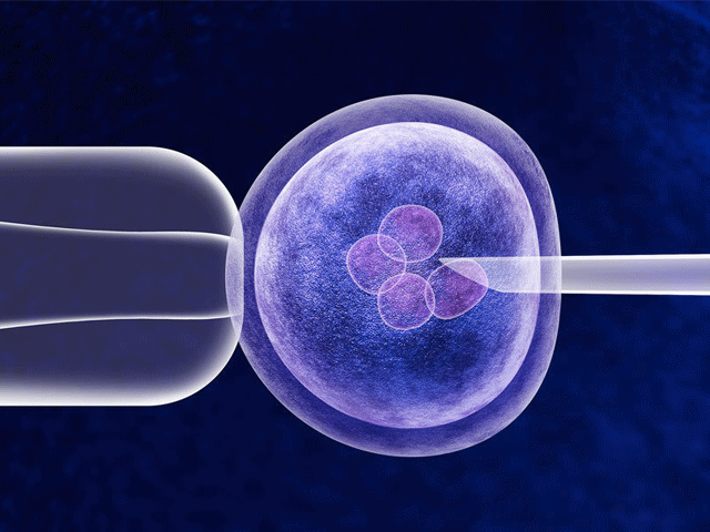 Descubren que CRISPR destruye genes