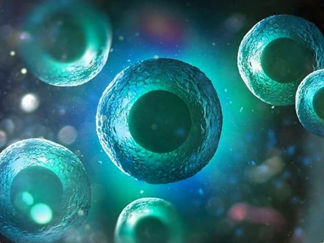 Un avance en la comprensión del envejecimiento