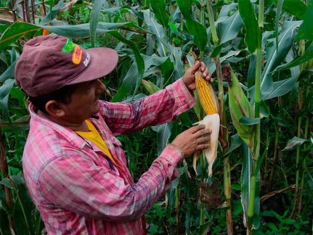 Disparidad económica en las provincias y regiones