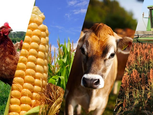 Mayor desconfianza de los productores