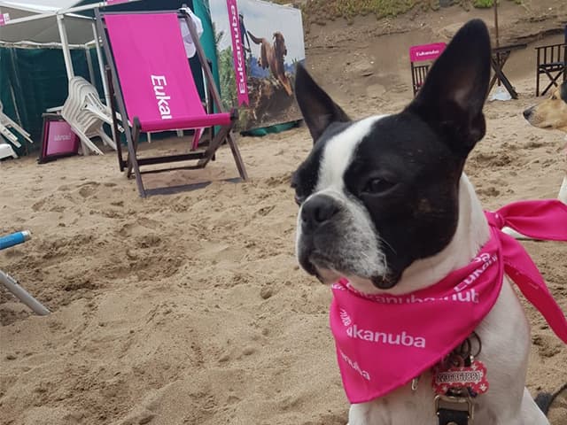 Playa Canina en La Feliz