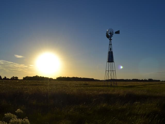 Perspectivas de sectores económicos para 2020