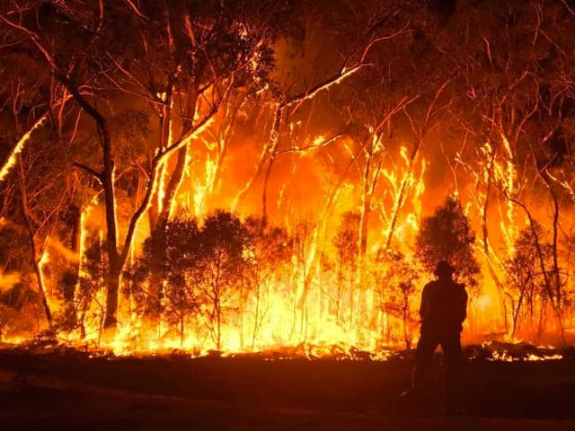 Incendios en Australia: un drama dantesco
