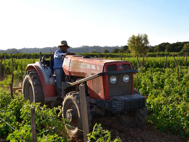 Completa radiografía de la competitividad externa