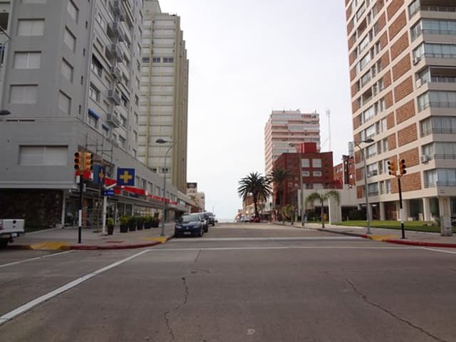 No volveremos a la normalidad