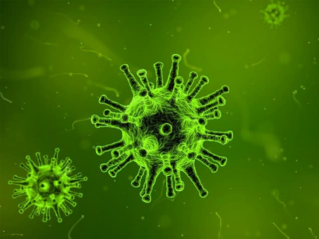 Reinvención del Estado, capitalismo y democracia