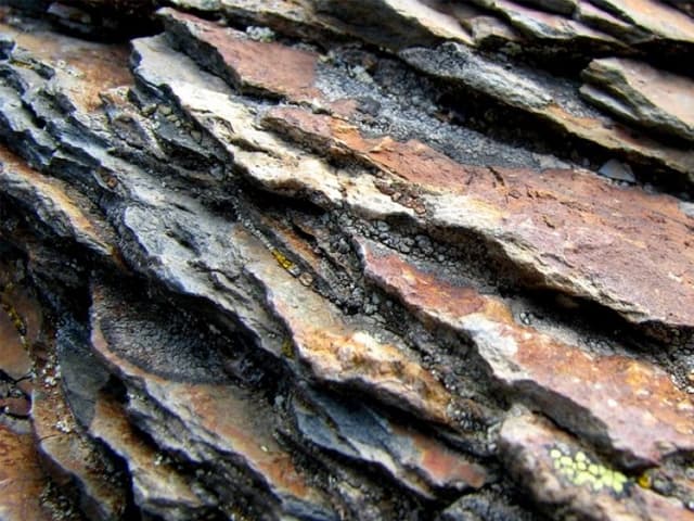 EE.UU.: la producción de crudo creció 11% en 2019