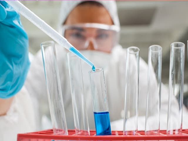 80% de los infectados se recuperan