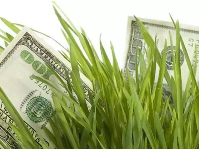 Retenciones: terminan encareciendo el dólar