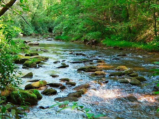 Después de la pandemia, un mundo muy diferente