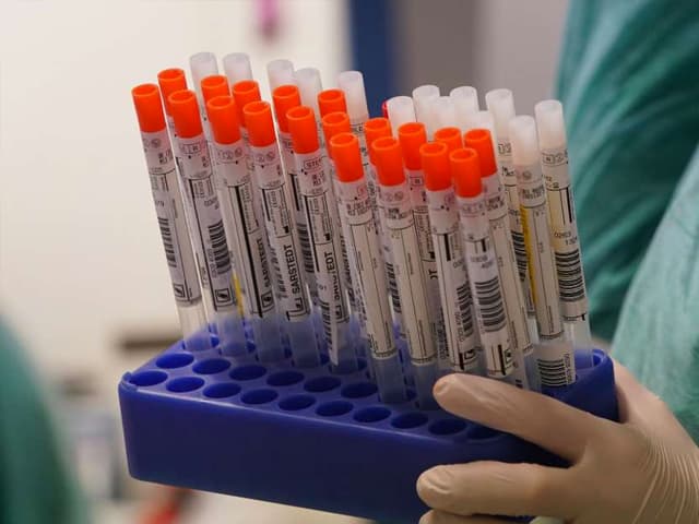 La ciencia experimenta