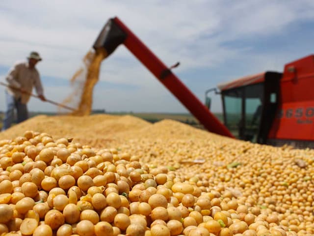 China acumulará reservas de materias primas