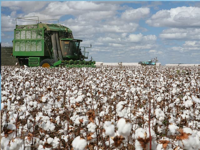 El negocio de la ropa y toda su cadena de suministro