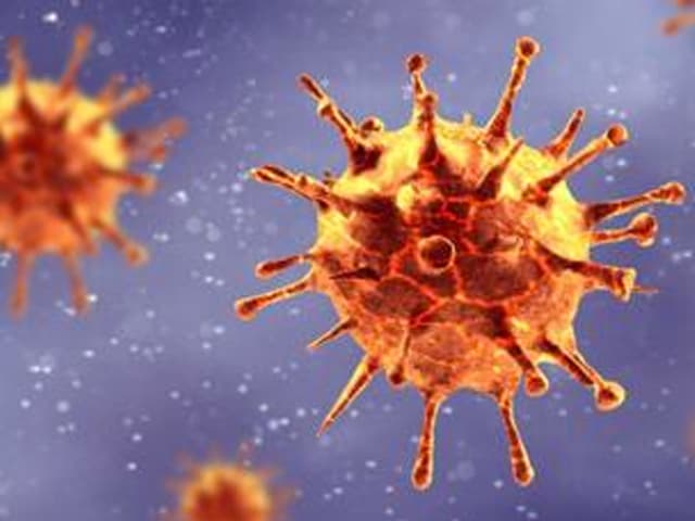 64% de los productores postergó sus inversiones