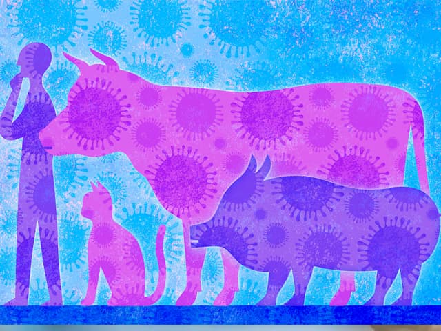 Crónica de una pandemia anunciada