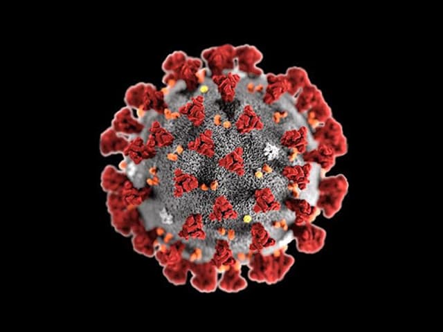 Los efectos económicos y sociales del COVID-19